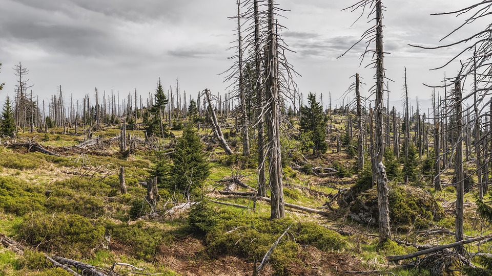 Crafting an Impressive Cover Letter for Environmental Consultant Positions: A Comprehensive Guide