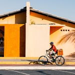 Navigating Your Career Path as a Delivery Driver: Essential Roadmaps for Success