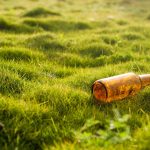 Essential Environmental Consultant CV Template: Stand Out in Your Job Application