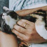 Navigating Your Career Roadmap as a Care Assistant: Essential Steps for Success in the UK