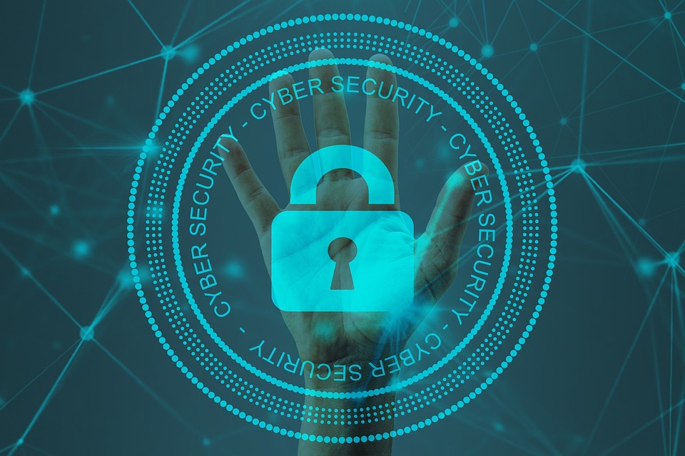 Navigating Your Career Path: A Comprehensive Guide to Becoming an Information Security Analyst