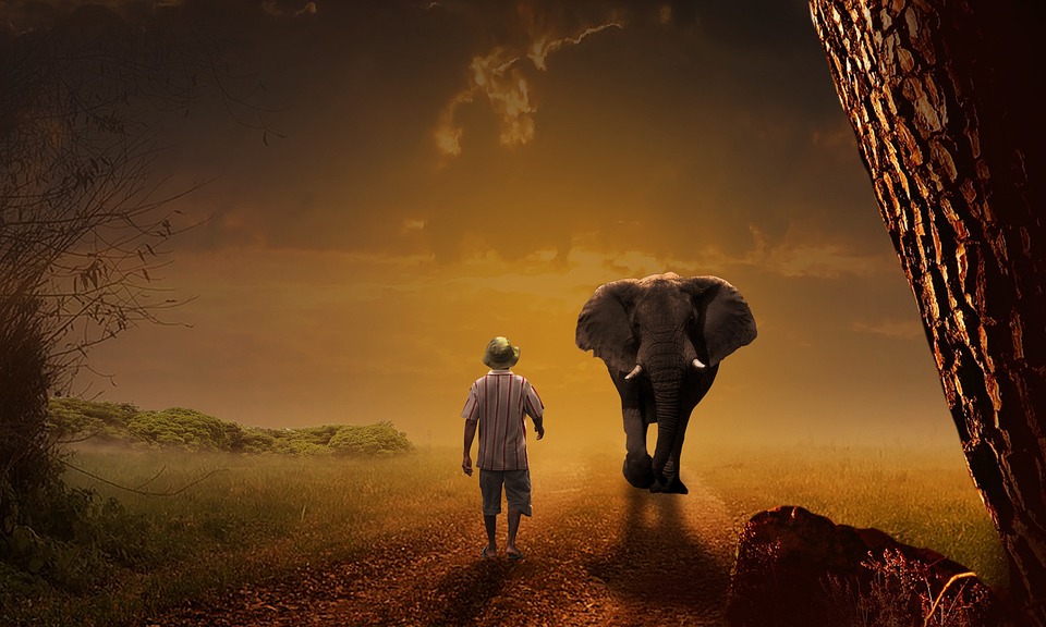 Navigating Your Career Path as a Carer: Essential Roadmaps for Success in the UK
