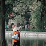 Exploring Career Roadmaps for Cleaners: A Comprehensive Guide to Advancement in the Cleaning Industry
