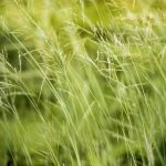 Essential Interview Guide for Aspiring Environmental Consultants: Tips and Best Practices