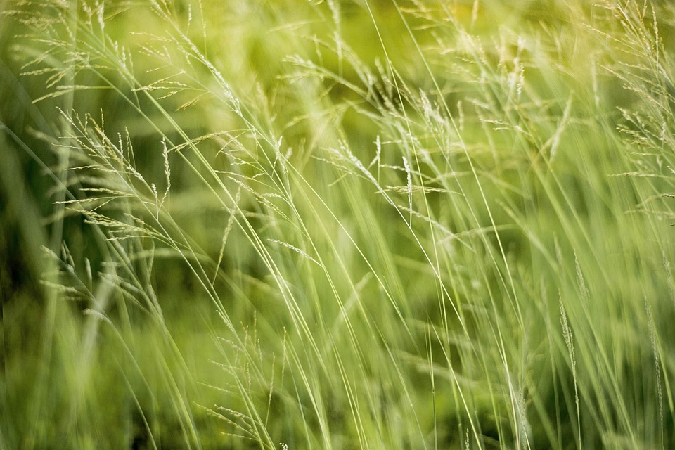 Essential Interview Guide for Aspiring Environmental Consultants: Tips and Best Practices