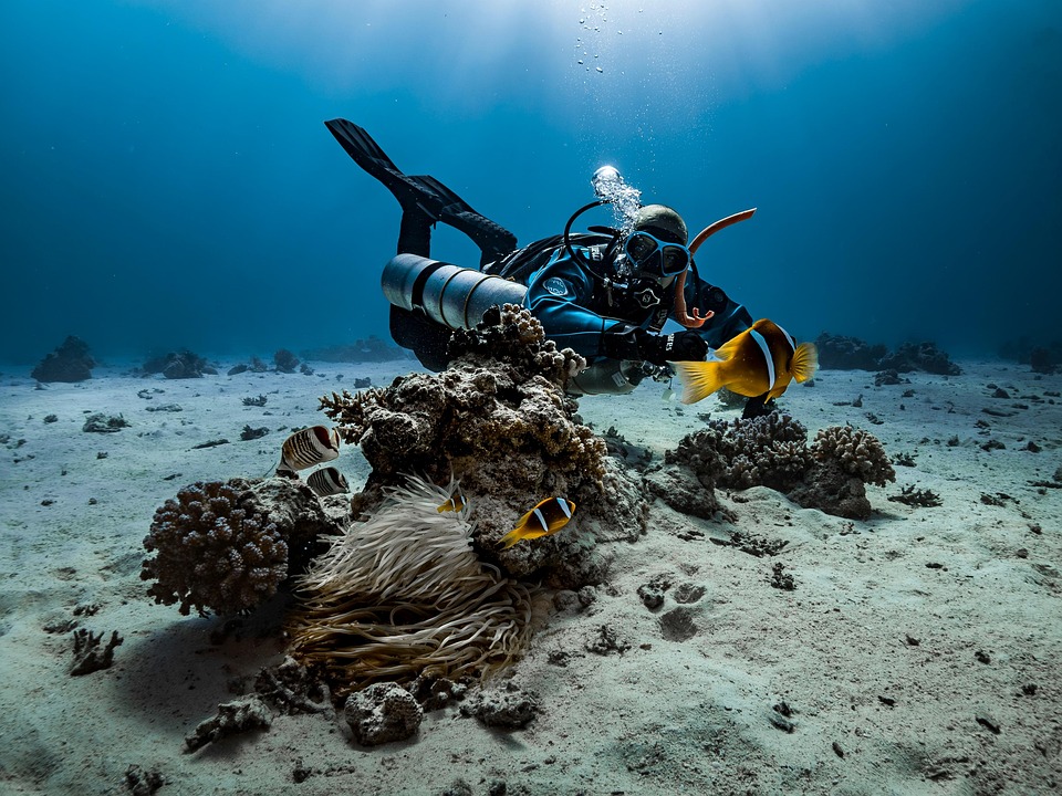 Crafting an Impressive Cover Letter for Marine Biologists: Tips and Examples for Success