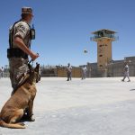 How to Craft a Compelling Cover Letter for Security Officer Positions: Tips and Examples