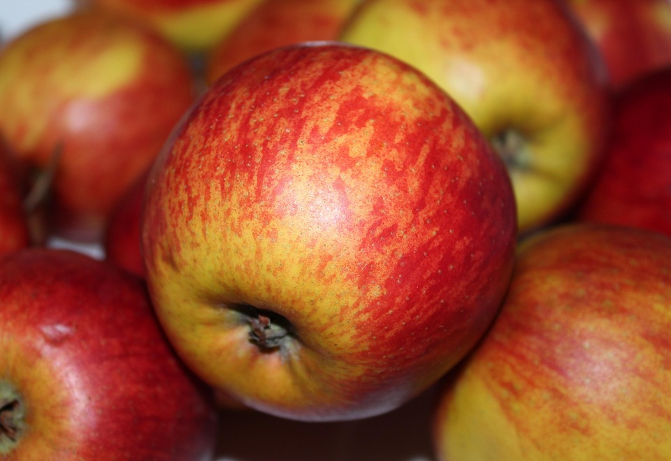 Essential Nutritionist Interview Guides: Tips for Success in Your Career