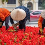 Essential Interview Tips for Manual Labourers: A Comprehensive Guide to Success