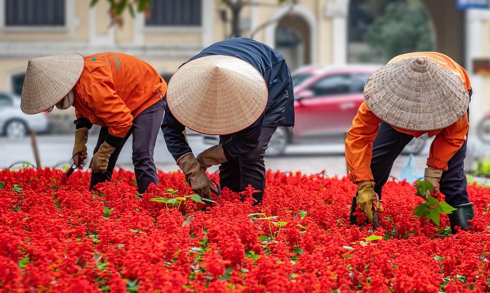 Essential Interview Tips for Manual Labourers: A Comprehensive Guide to Success