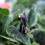 Exploring Career Roadmaps for Janitors: Your Guide to Advancement in the Cleaning Industry