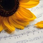 Essential Interview Guide for Aspiring Music Teachers: Tips and Questions to Stand Out