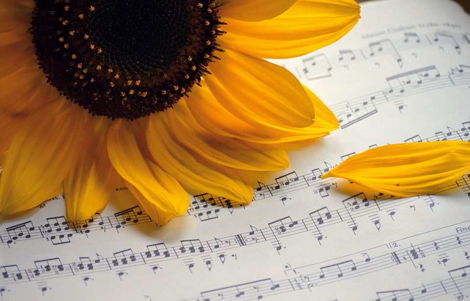 Essential Interview Guide for Aspiring Music Teachers: Tips and Questions to Stand Out