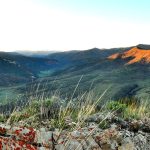 Essential Interview Guides for Landscapers: Tips to Land Your Dream Job