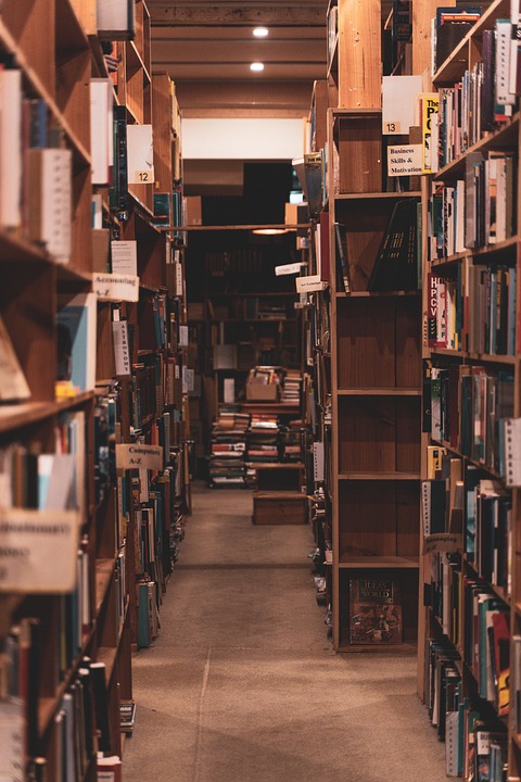 How to Craft an Impressive Educational Psychologist CV: Essential Template and Tips