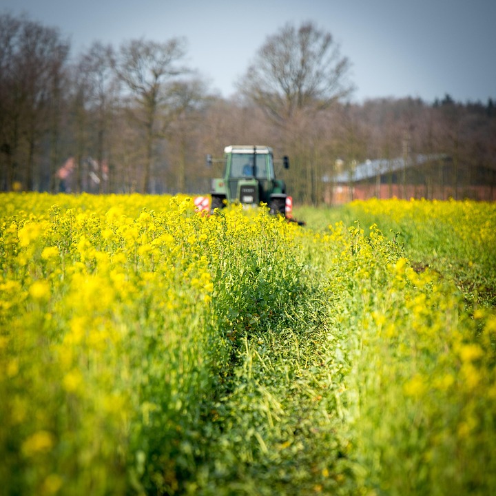 Crafting the Perfect Cover Letter for Agricultural Engineers: Tips and Best Practices