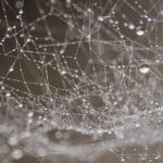 Crafting an Impressive Web Designer Cover Letter: Tips for Success