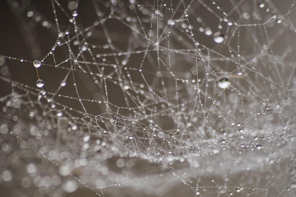 Crafting an Impressive Web Designer Cover Letter: Tips for Success