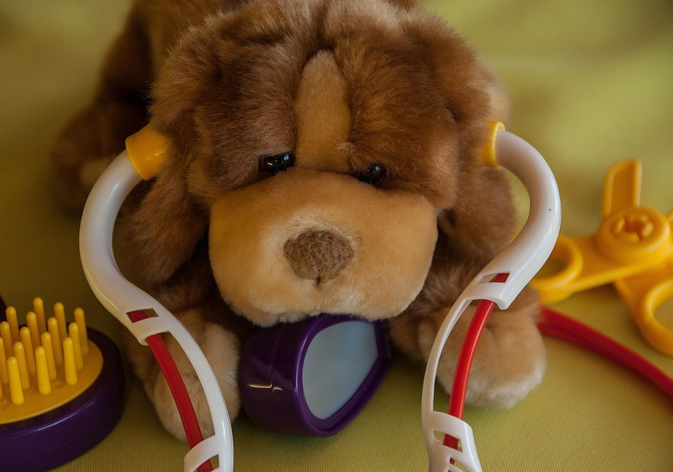 Essential Interview Guide for Aspiring Veterinary Nurses: Tips and Insights for Success