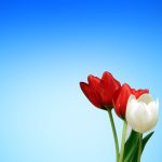 Navigating Your Career: A Comprehensive Roadmap for Aspiring Copy Editors