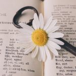 Essential Interview Guides for Translators: Tips to Ace Your Next Translation Job