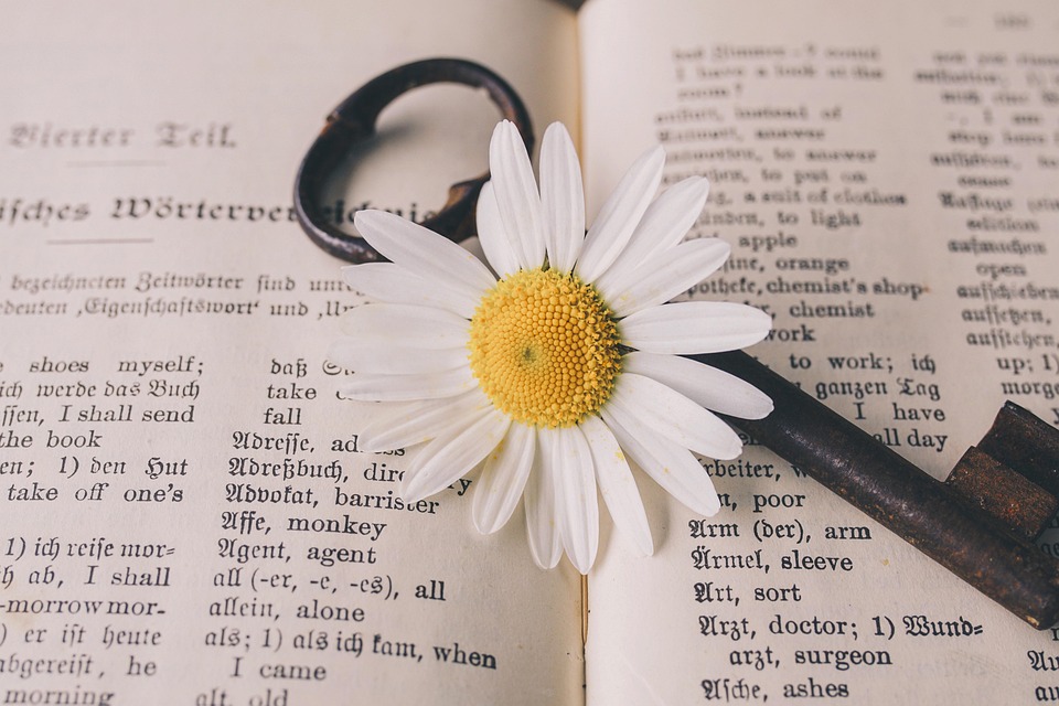 Essential Interview Guides for Translators: Tips to Ace Your Next Translation Job