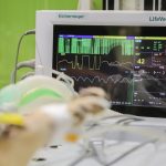 Essential Interview Guides for Aspiring Veterinarians: Tips and Insights for Success