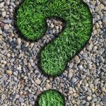 Essential Counsellor CV Template: Crafting a Winning Resume for Your Career