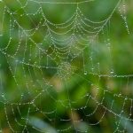 Crafting the Perfect Cover Letter for Web Developers: Tips and Examples for Success