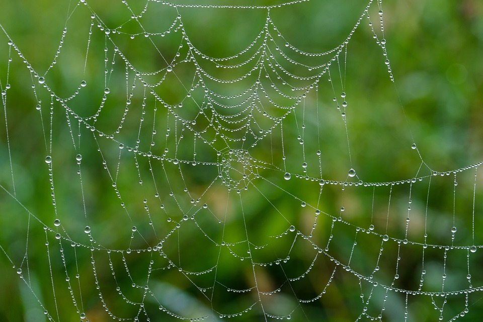 Crafting the Perfect Cover Letter for Web Developers: Tips and Examples for Success