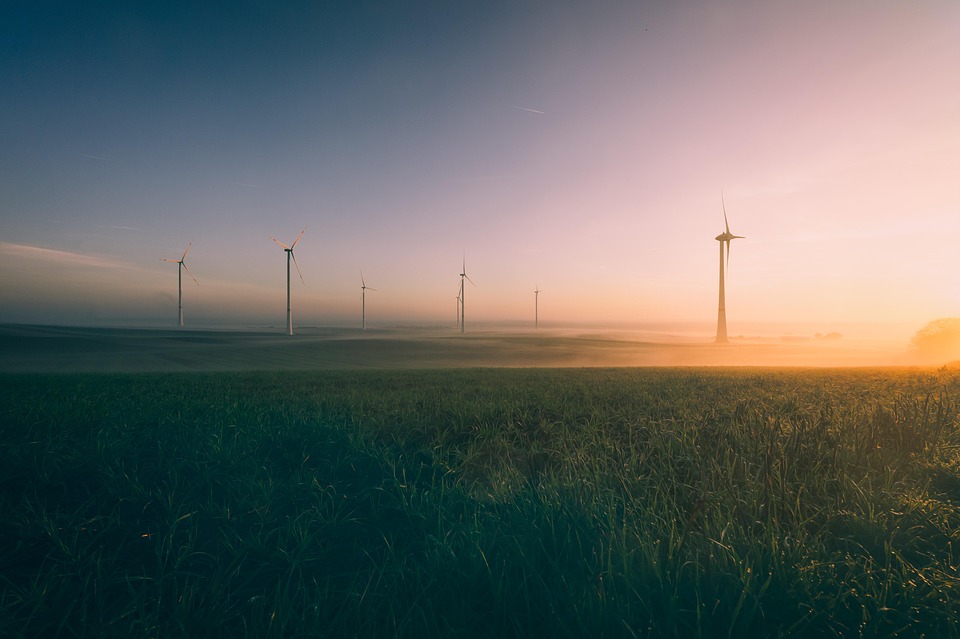 Essential Interview Guide for Aspiring Commercial Energy Assessors: Tips and Insights
