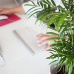 Crafting an Impressive Company Secretary Cover Letter: Tips for Success