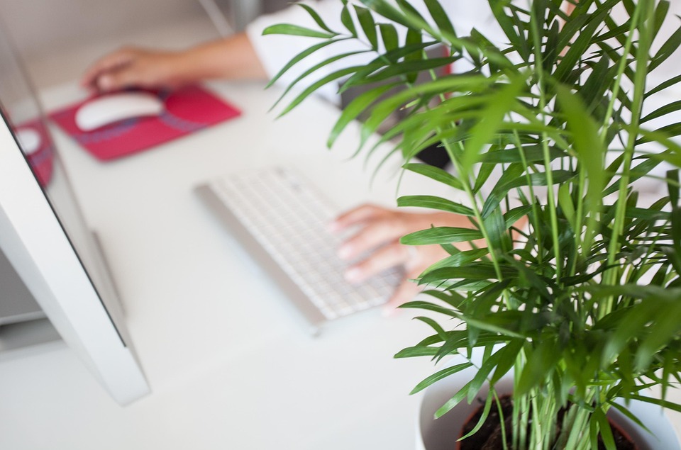 Crafting an Impressive Company Secretary Cover Letter: Tips for Success
