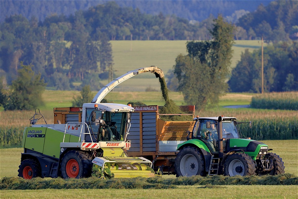 Navigating Your Career Path: A Comprehensive Guide to Becoming an Agricultural Consultant in the UK