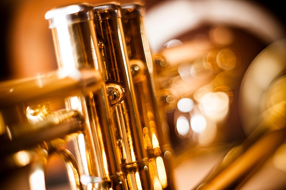 Navigating Your Career Path as an Acoustic Consultant: Essential Roadmaps for Success