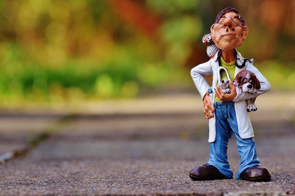 How to Craft an Impressive Cover Letter for a Veterinary Nurse Position: Essential Tips and Examples