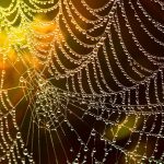 Essential Web Designer Interview Guide: Tips and Questions for Success