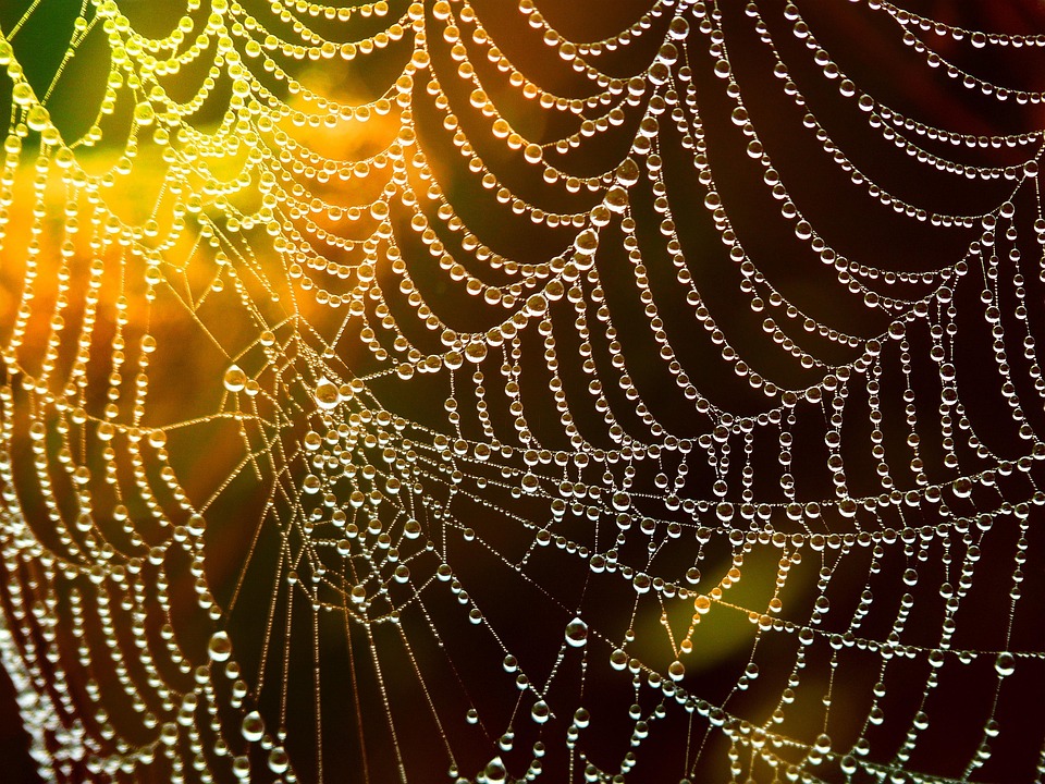 Essential Web Designer Interview Guide: Tips and Questions for Success
