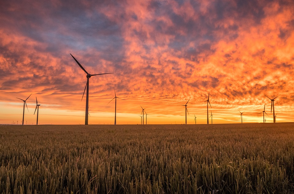 Navigating Your Career Path as a Commercial Energy Assessor: Essential Roadmaps for Success