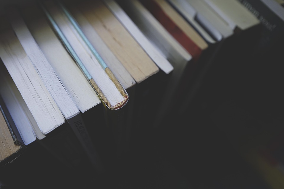 Navigating Your Career Path: A Comprehensive Guide to Becoming an Education Consultant