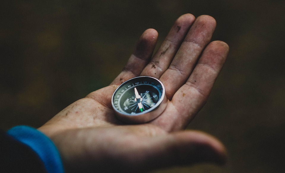 Navigating Your Future: Essential Career Roadmaps for Guidance Counsellors