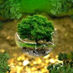 Crafting a Compelling Cover Letter for Environmental Education Officer Positions: Tips and Examples