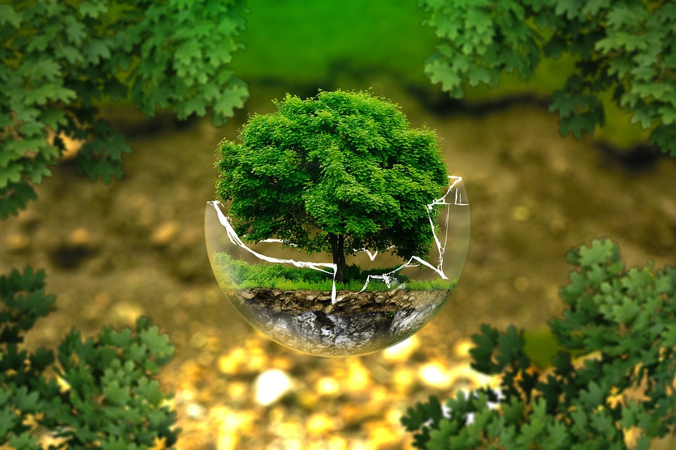 Crafting a Compelling Cover Letter for Environmental Education Officer Positions: Tips and Examples