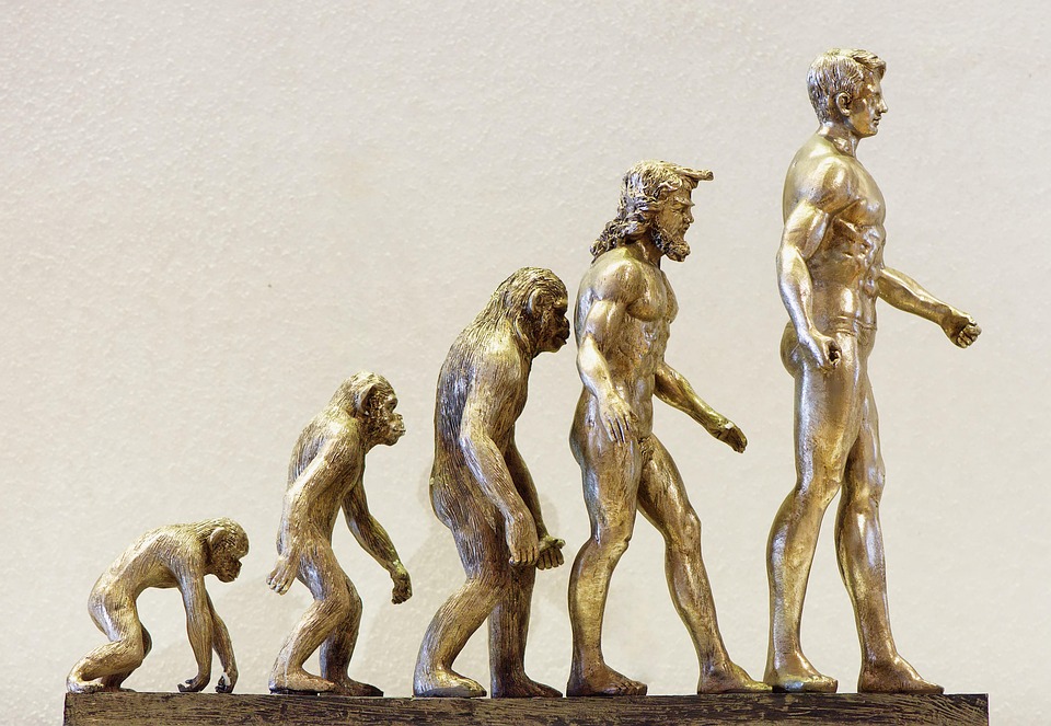 Essential Career Roadmaps for Development Managers: Navigating Your Path to Success