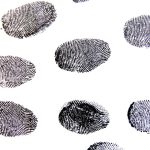 Navigating Your Career as a Detective Constable: Essential Roadmaps for Success in the UK