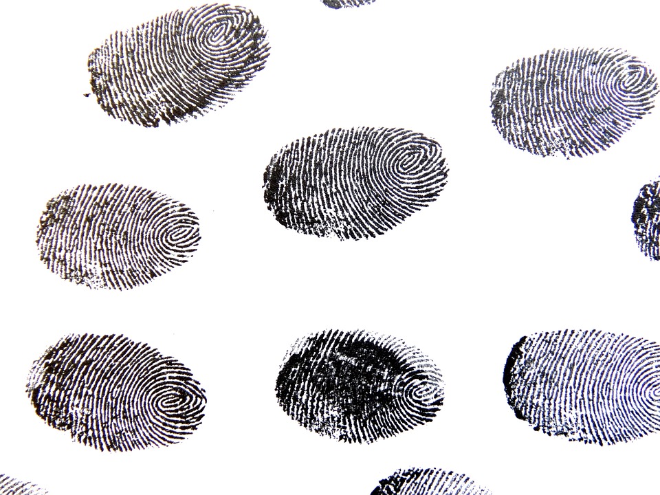Navigating Your Career as a Detective Constable: Essential Roadmaps for Success in the UK