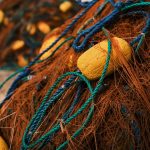 Crafting an Effective Fisheries Officer Cover Letter: Tips for Success