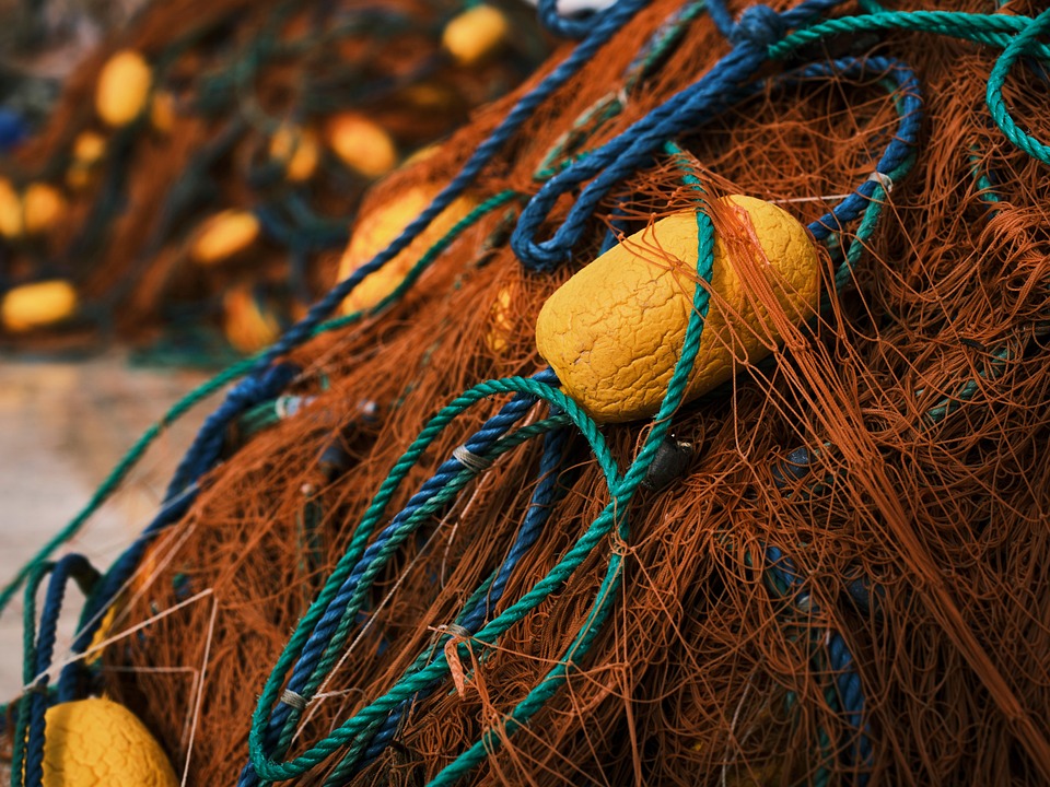 Crafting an Effective Fisheries Officer Cover Letter: Tips for Success