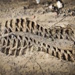 Essential Interview Guide for Aspiring Digital Forensics Analysts: Tips and Insights