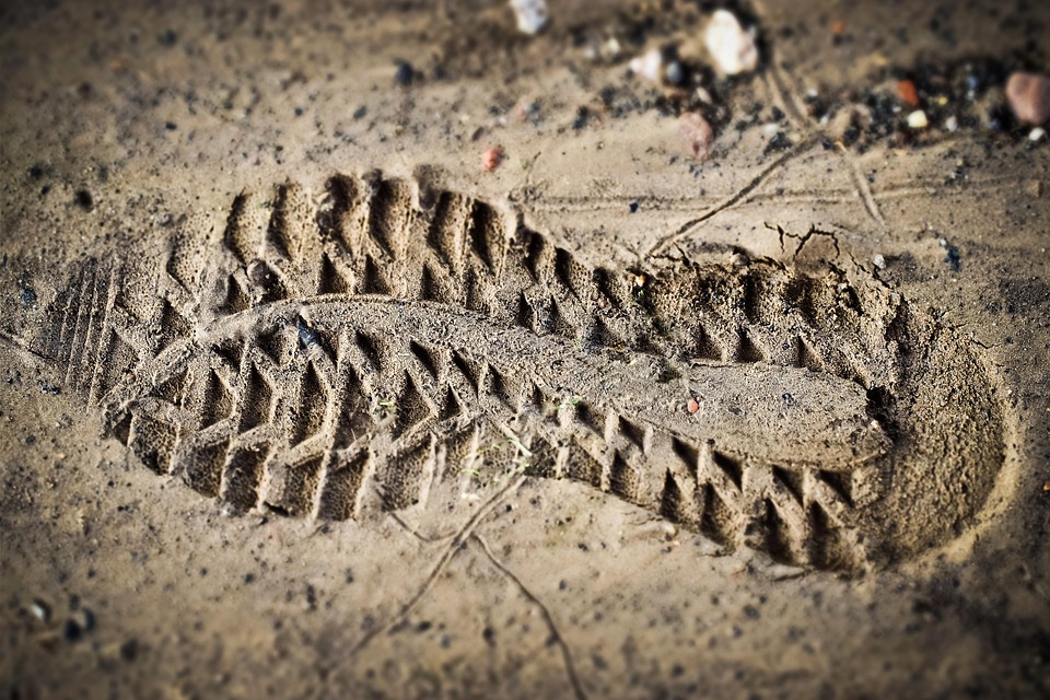 Essential Interview Guide for Aspiring Digital Forensics Analysts: Tips and Insights
